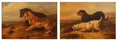 Lot 3250 - J.T.(?) Morris - Pair; Terriers ratting, oil...