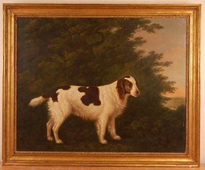 Lot 3289 - John Boultbee (1753-1812) - Portrait of a...