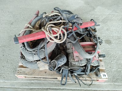 Lot 79 - Sundry Horse Equipment (harnesses, whipples)