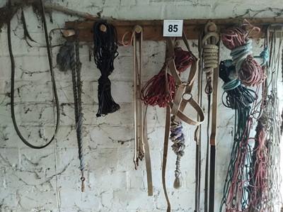 Lot 85 - Qty of Horse Equipment