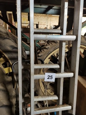 Lot 25 - Ladders