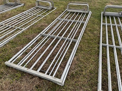 Lot 231 - Pair of 12ft Heavy Duty Galvanised Gates