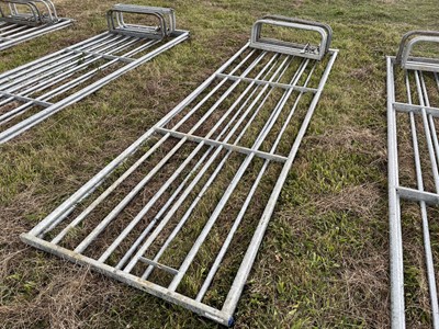 Lot 230 - Pair of 12ft Heavy Duty Galvanised Gates