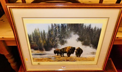 Lot 1018 - David Shepherd - The Hot Springs of...