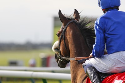 Lot 124 - Newmarket Race Course VIP Experience for 4 in...