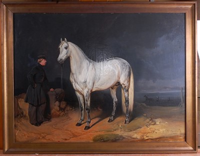 Lot 303 - T Burre Bundy (XIX) - Study of an Arabian Grey...