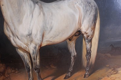 Lot 303 - T Burre Bundy (XIX) - Study of an Arabian Grey...