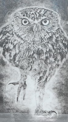 Lot 379 - Hannah Ingall - Wide-eyed stalker, etching, 28....
