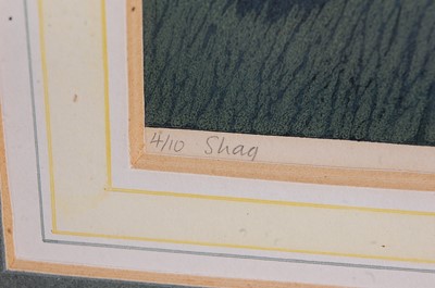 Lot 451 - Robert Gillmor (b.1936) - Shag, linocut,...