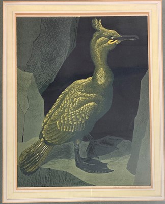 Lot 451 - Robert Gillmor (b.1936) - Shag, linocut,...