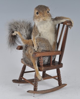Lot 375 - An anthropomorphic taxidermy Grey Squirrel...