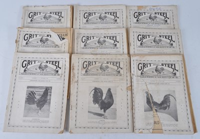 Lot 344 - A collection of 13 issues of the monthly...