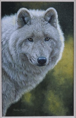 Lot 1345 - Stephen Gayford (b.1954) - Arctic Apparition,...