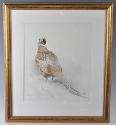 Lot 352 - Ben Hoskyns, (b.1963), Pherasant, pencil and...
