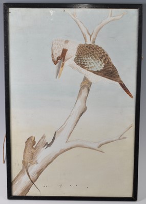 Lot 364 - G.A. Wright, (Australian fl.1910-1920),...