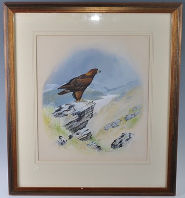 Lot 363 - David Ord Kerr, (b.1952?), Golden Eagle,...