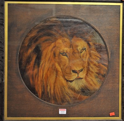 Lot 1020 - Circa 1900 English school, lion study, oil on...