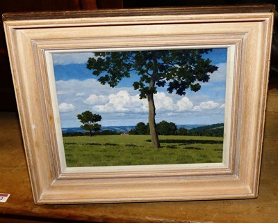 Lot 1033 - Christopher Hankey - Extensive landscape, oil...