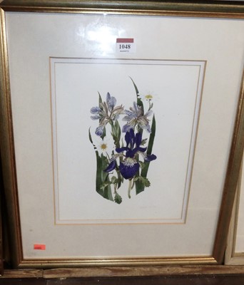 Lot 1048 - Elspeth Harrigan (1938-1999) - Botanical study,...