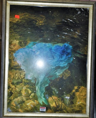 Lot 1029 - Jacqueline Shanks  - untitled, photographic...