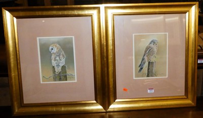 Lot 1051 - Carol Critoph (b.1950) - Pair; Owl studies,...