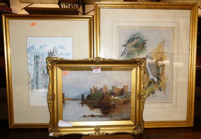 Lot 1056 - Ian Bowles (1946-2018) - Birds of prey,...