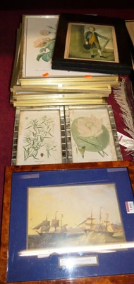 Lot 1105 - A collection of reproduction botanical and...