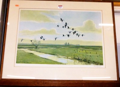 Lot 1010 - Peter Scott (1909-1989) - Ducks in flight over...