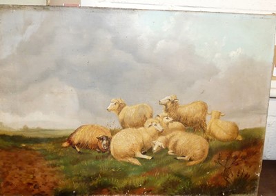 Lot 1061 - J Clark - Sheep resting, oil on canvas, signed...