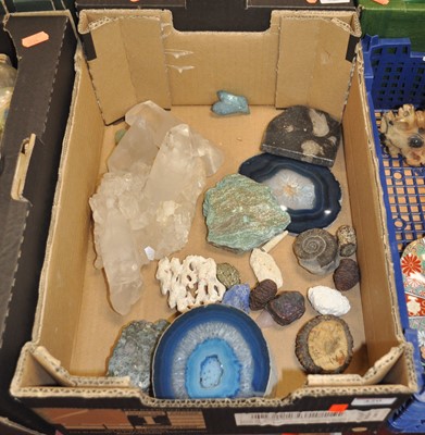 Lot 420 - A box of rock, mineral and fossil specimens