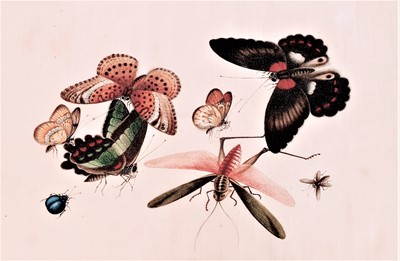 Lot 2414 - In the manner of Sunqua (Chinese 1830-1870),...