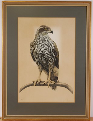 Lot 433 - After Don Cordery, (b. 1942), Goshawk, limited...