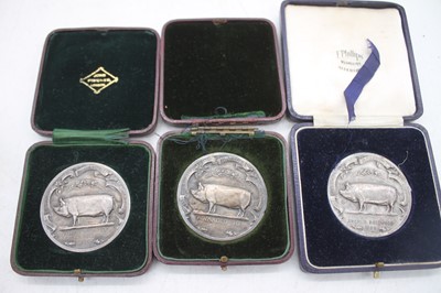 Lot 593 - A collection of three The National Pig...