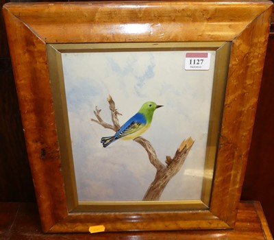 Lot 1127 - 19th century English school - Study of a bird...