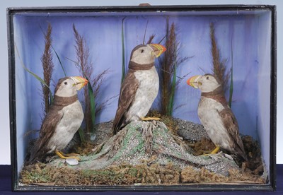 Lot 935 - A late Victorian taxidermy group of...