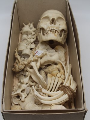 Lot 202 - A mid 20th century medical half human skeleton...