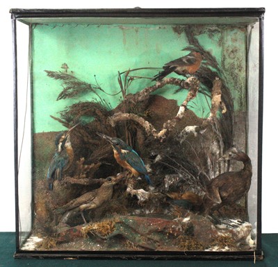 Lot 919 - An early 20th century taxidermy group of birds...