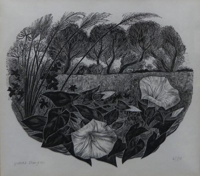 Lot 196 - Yvonne Skargon (b.1931) - Convolvulus,...