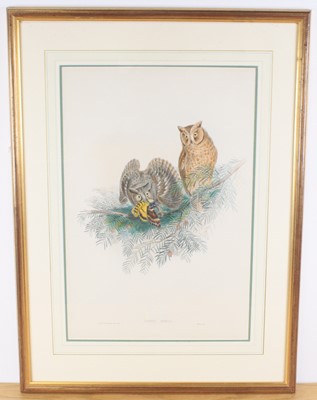 Lot 905 - John Gould (1804-1881) & Henry Constantine...