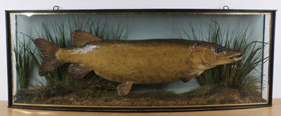 Lot 938 - Attributed to John Cooper & Sons, a late...