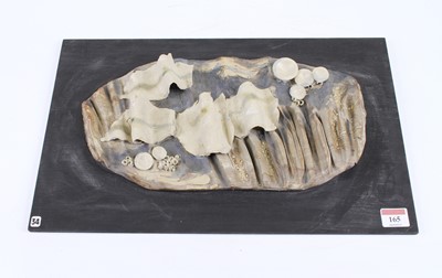 Lot 165 - A Patricia Chrisp studio stoneware plaque...