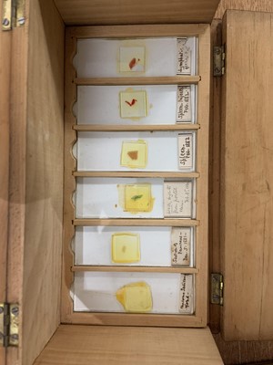 Lot 67 - A late 19th/early 20th century pine case...
