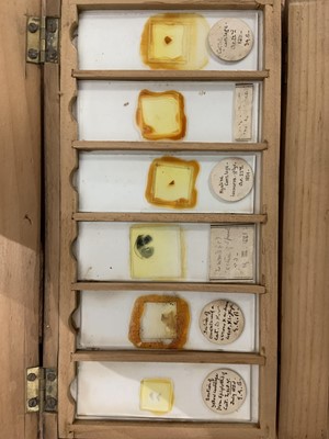 Lot 67 - A late 19th/early 20th century pine case...