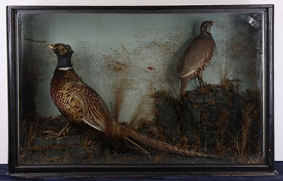 Lot 491 - A Victorian taxidermy Pheasant (Phasianus...