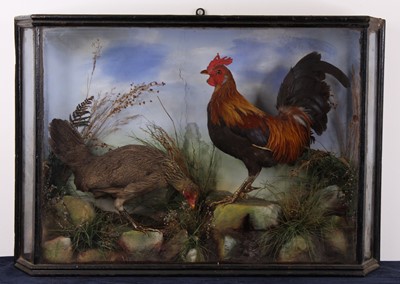 Lot 486 - Attributed to A.S. Hutchinson of Derby, a pair...