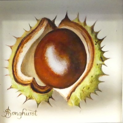 Lot 194 - *Anne Songhurst (b.1946) - Horse chestnut, oil...