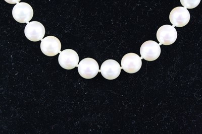 Lot 1260 - A single row necklace of forty-four 8.4 to...