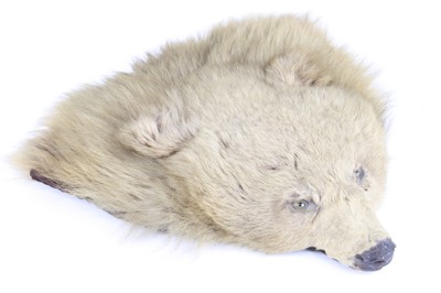 Lot 946 - An early 20th century taxidermy Brown bear...
