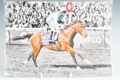 Lot 48 - Sir Anthony Peter McCoy, a colour image of the...