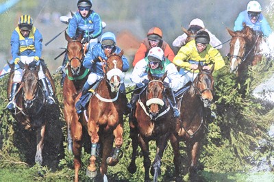 Lot 48 - Sir Anthony Peter McCoy, a colour image of the...